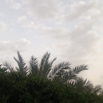 ﴿وَذَكِّرْ فَإِنَّ الذِّكْرَىٰ تَنفَعُ الْمُؤْمِنِينَ﴾