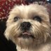 Rachelle Suzanne (@pandh_princess) Twitter profile photo Rachelle Suzanne (@pandh_princess) Twitter profile photo