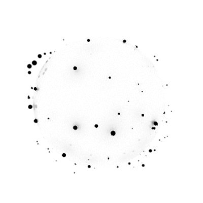 datawitcc's profile picture. Data Intelligence