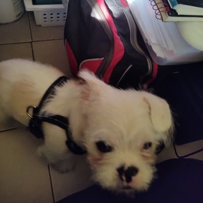 pattykitchens2's profile picture. I love new groups that sound good.Writing a book.