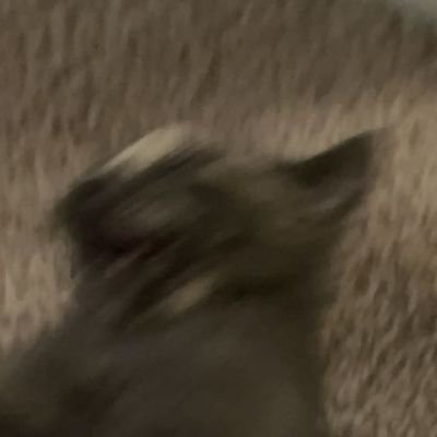 Soulalt4's profile picture. 21 | Gay as hell, no minors allowed | Sosig :D