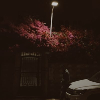 theABwolf's profile picture. nobody posting some stupid tweets and wishing you wake up from the grave to read it