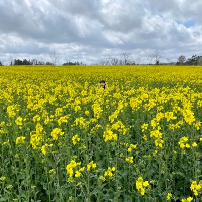 _ldh_419's profile picture. 完全趣味のためのTwitter！！！EXILE/三代目JSB/GENERATIONS/E-girls 大好きな人と繋がりたい(^-^) 青森🍎→函館🦑