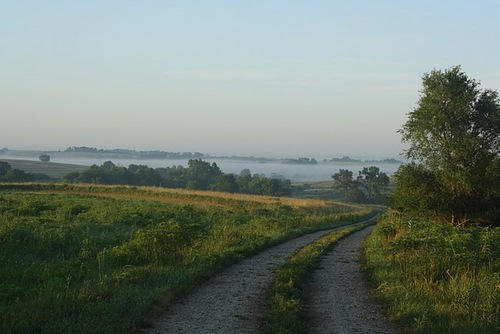 OPEN_SKY_FARM's profile picture. Sustainable living, farming and building. Trying to change my ways & open my mind with a holistic approach to life.