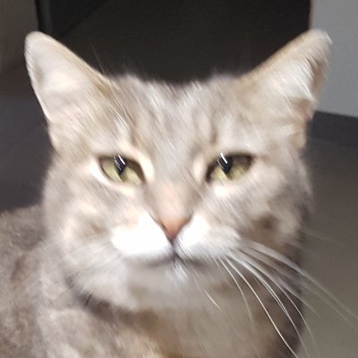 PennaStphanie1's profile picture. 