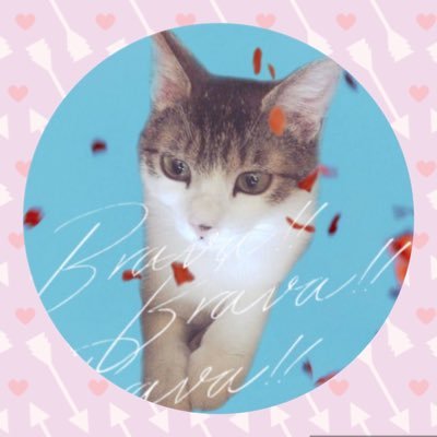 たかニャン♪ฅ^._.^ ฅ🌈さんのプロフィール画像