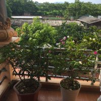 Thu Hằng Trịnh (@thu4t) 's Twitter Profile