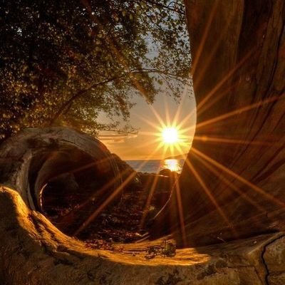 AnkurRa62235139's profile picture. 