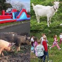 Fairy Fort Farm (@fairyfortfarm) 's Twitter Profile