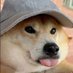 カラスキ (@samkkwanko) Twitter profile photo カラスキ (@samkkwanko) Twitter profile photo