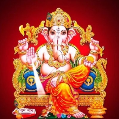 MSENIORADVOCATE's profile picture. 