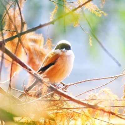 Sky above, earth below, and peace within. 
Sharing the most beautiful nature around the world.