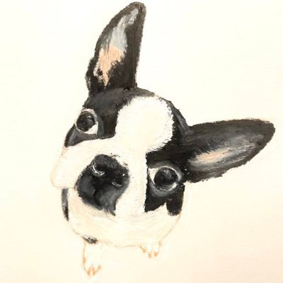 m_sae_web's profile picture. フリーランスでWebデザイナーやってます/4歳2歳姉妹とボストンテリアのおもちと万年眠そうな夫の4人と1匹家族/朝活派/#SHElikes/お仕事アカウント@chorodesu_m