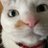 コネコネコネコのアイコン