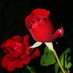 Abdulrahman (@abdulra92646981) Twitter profile photo Abdulrahman (@abdulra92646981) Twitter profile photo
