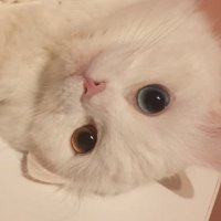 b (@bannedarebk) 's Twitter Profile Photo b (@bannedarebk) 's Twitter Profile Photo
