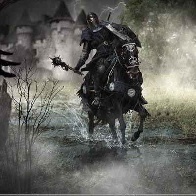 DanyPaquereau's profile picture. 