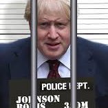 Talenteduser's profile picture. Political Opinions zzzzzzz