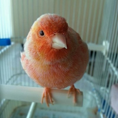 ke7gad's profile picture. Nothing important