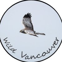 Wild Vancouver(@pacificnwk) 's Twitter Profile Photo