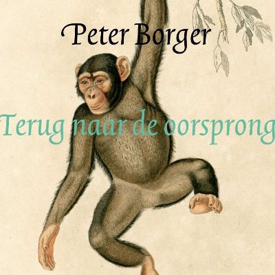 Pieter Borger