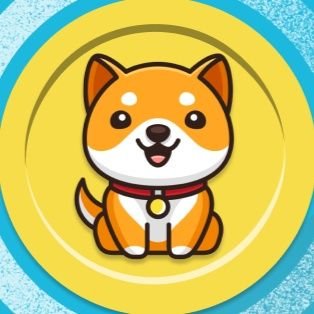 #BabyDogeCoin