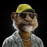 Crypto $heriff (@voi_cu_tudor) 's Twitter Profile