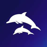 Flippr (@flipprtool) 's Twitter Profile