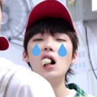 정지먹은 치비 (@choichiby) 's Twitter Profile