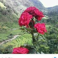 ابن العقال العقل العقل (@qal_ql) Twitter profile photo