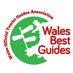 WalesBestGuides (@WalesGuides) Twitter profile photo