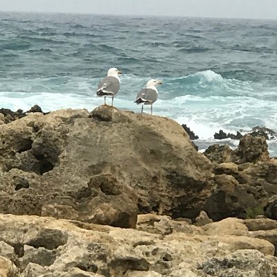 Non sopporto i servi del regime, amo le spiagge libere e sto bene con le persone oneste. 🖤💙