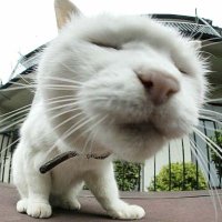 きむきむ (@satoshi_kimura) 's Twitter Profile