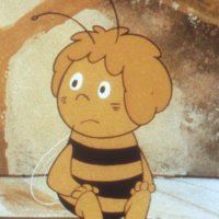 Anna (@zebraanna) 's Twitter Profile