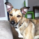 Sara Winn - @swdw - Twitter