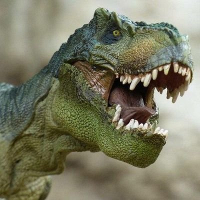 dynos_planner's profile picture. SingularityDAO Project manager
                           
Visit https://t.co/eSHuz1diXd       
                          
$SDAO