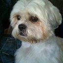 emma dowd - @angelic266 - Twitter