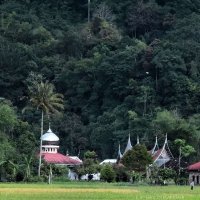 #WarungKopi (@datuak_sipasan) 's Twitter Profile
