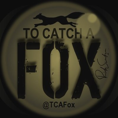 TCAFox's profile picture. #PlayStationAccess's @rob_pearson86 put something in his bio that I highlighted to him once.