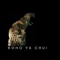Roho Ya Chui(@RohoYaChui) 's Twitter Profile Photo