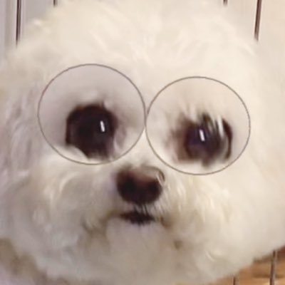 はんなさんのプロフィール画像