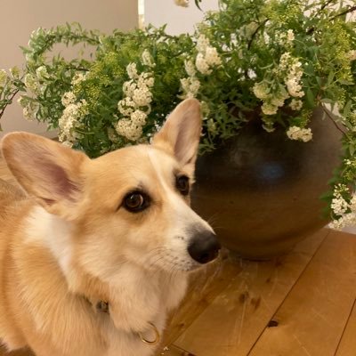 日常ポスト多め。本と漫画とお芝居、映画が好きです。主に本や映画についてポストしてます。たまに日々のつぶやきも。美味しい物食べるのも作るのも好きです。小説、エッセイ、ノンフィクション、幅広く興味を持った本を読んでます。自分のための備忘録です。無言フォロー失礼します🙇♀️基本DMはしていません。