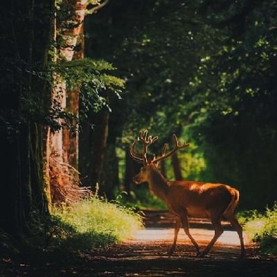 _tishbeats's profile picture. I speak fluent sarcasm.
Unfiltered thoughts