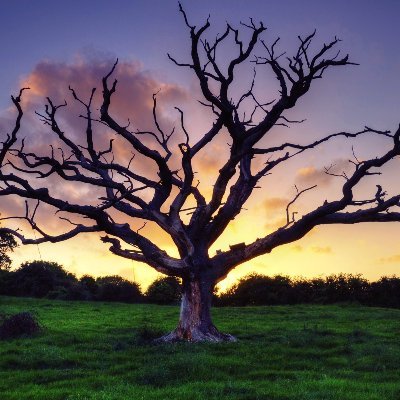 Doğa Manzaraları, Şaşırtıcı Fotoğraflar...Twitter'de keyifli bir yolculuğa hazır mısın? 💯 UNF 👍