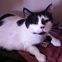 Greg Scott (@gregsco61041454) 's Twitter Profile