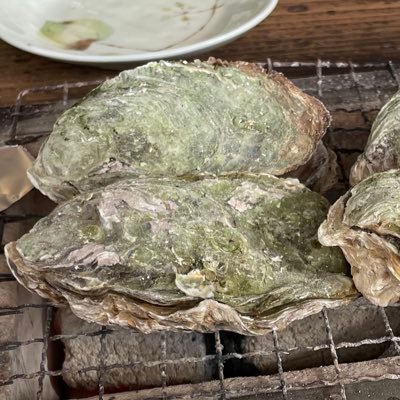 taro_poker's profile picture. cit cs m2 mk研