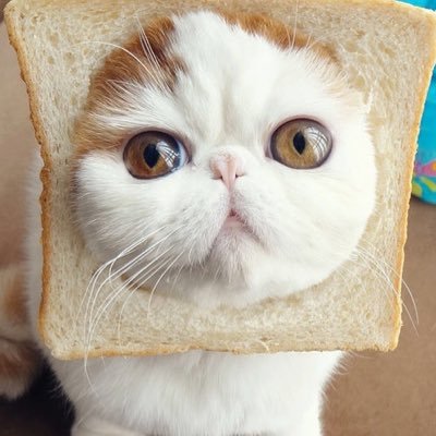 charlie1972SC's profile picture. 福岡出身福岡市中央区 KBC、RKB、FM福岡、CROSS FM、LOVE FM、FMはしもと、SMH、80sグラフティー、金曜ミュージケーション、パオーン、ボナセラータ、よるばけ！ガメニ、CPR、電リクじゃんけん、シティポップナイト オススメ🤗bayfm78、文化放送、ルーシー、コンテツ世代