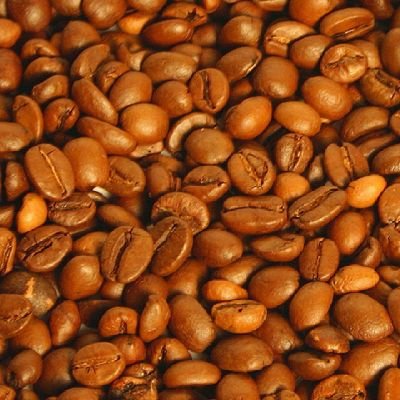 niftydao's profile picture. coming soon