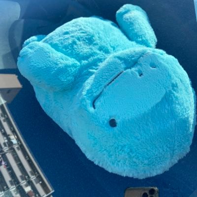 ポケGO専用✨ヌオーの様にまったりゆっくりプレイ笑 TL45 青ちーむ 無言フォローすいません( ・∇・) 各都道府県のだぬを集めてまーす♫ 色んな地域のフレンドさん募集中