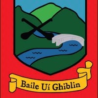 Ballygiblin GAA(@Ballygiblingaa) 's Twitter Profileg